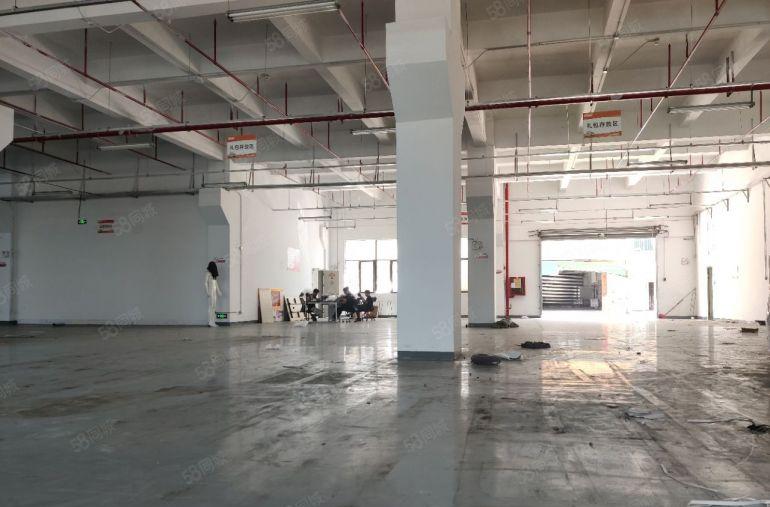 深圳布吉丹竹头红本厂房一楼3000平方出租6米高园区形象好