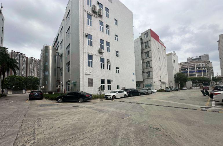 一楼高6米带牛角布吉原房东大型园区重工业1600平精装修厂房