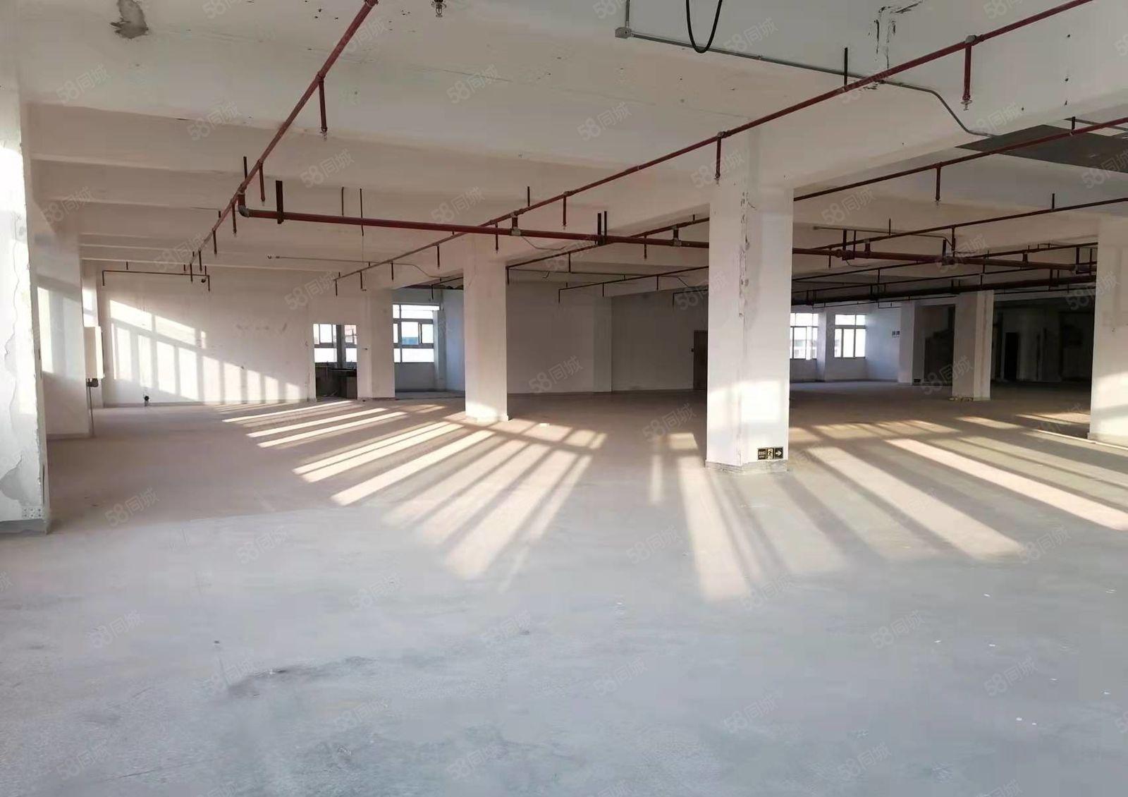 布吉主干道旁高实用率有喷淋标准厂房仓储出租