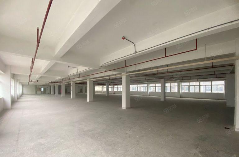 布南岭大型工业区1500平厂房出租300起分 原房东红本厂房