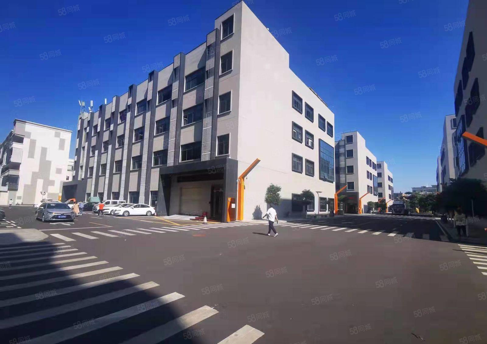 杨美地铁站旁大型电商园楼上300平精装修电商办公仓库厂房出租