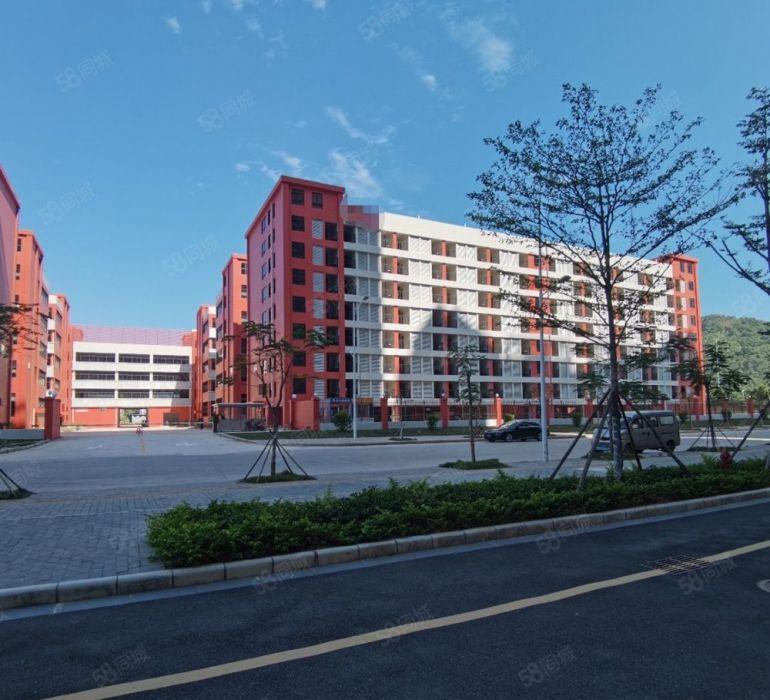 领包入驻！布吉白鸽笼800平楼上精装修厂房仓库出租 大小分租