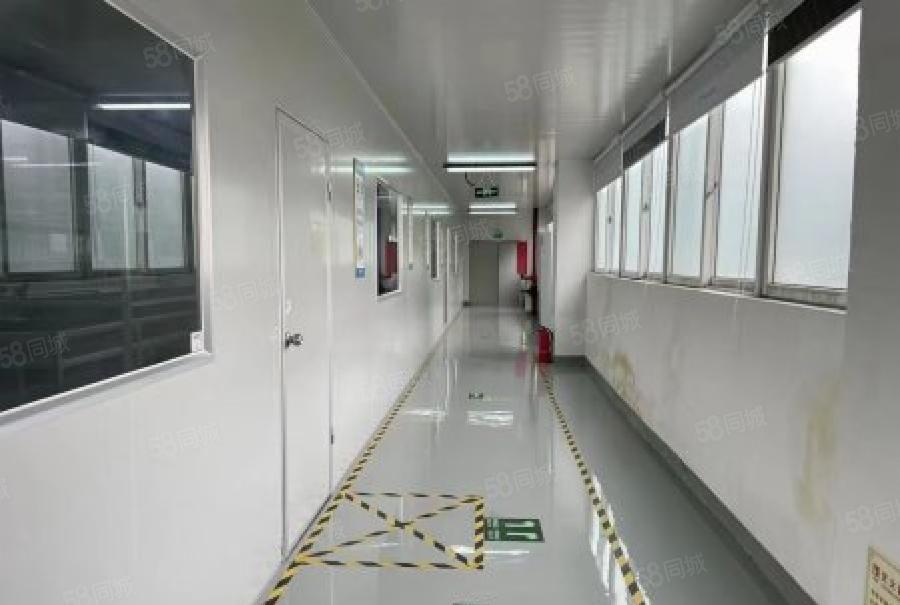 龙华大浪高新科技园2000平豪装无尘车间不用转让费