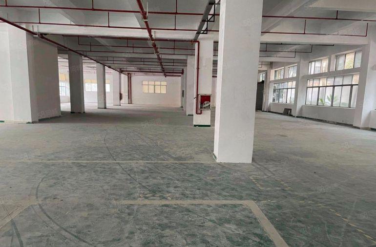 布吉联创科技园一楼厂房出租整层1600平，可分800平方