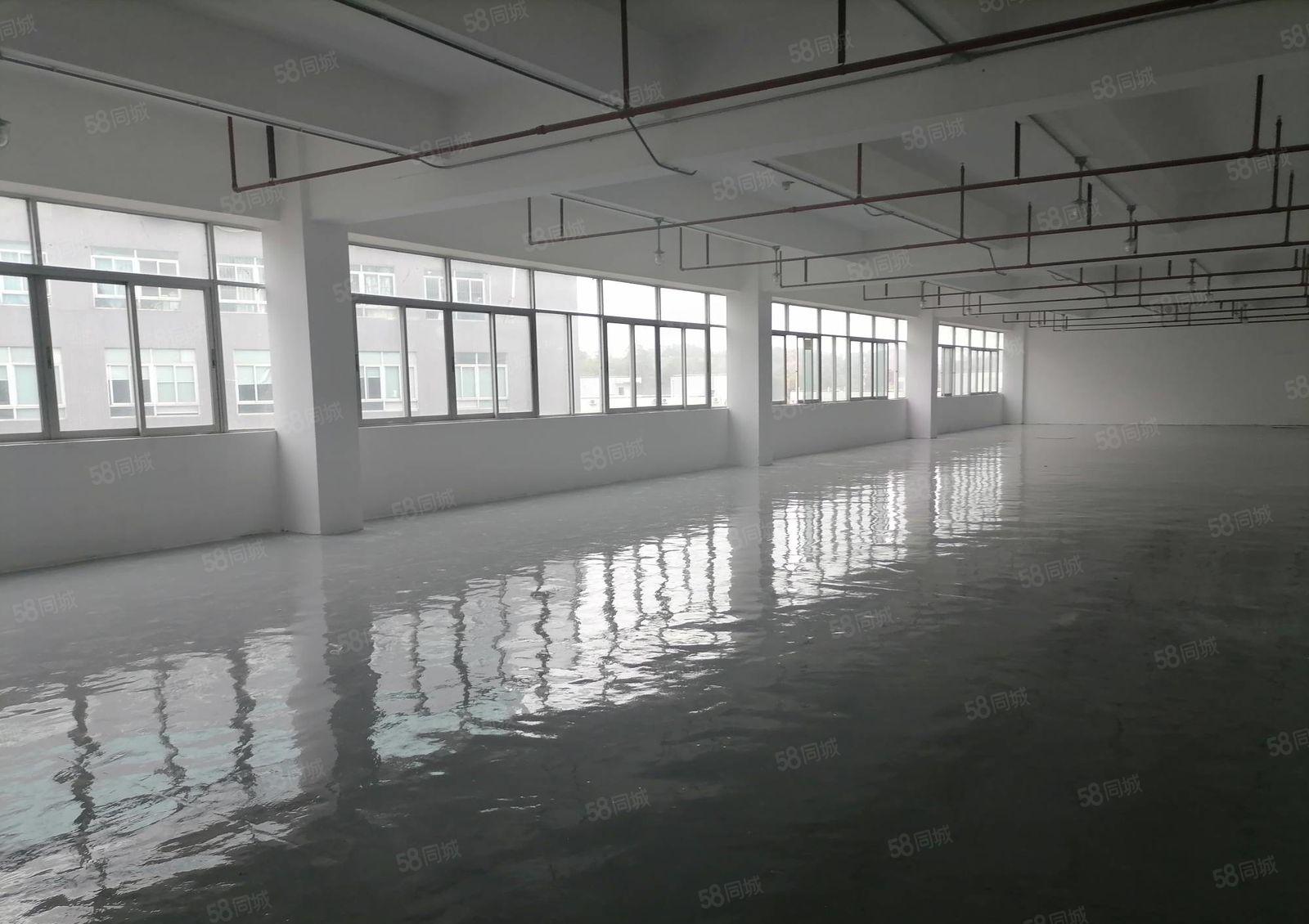 200平起分租布吉李朗工业区3万平厂房仓库出租！有部分一楼！