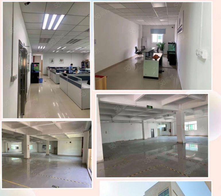 布吉南岭现成装修800平方可分，电商仓库办公