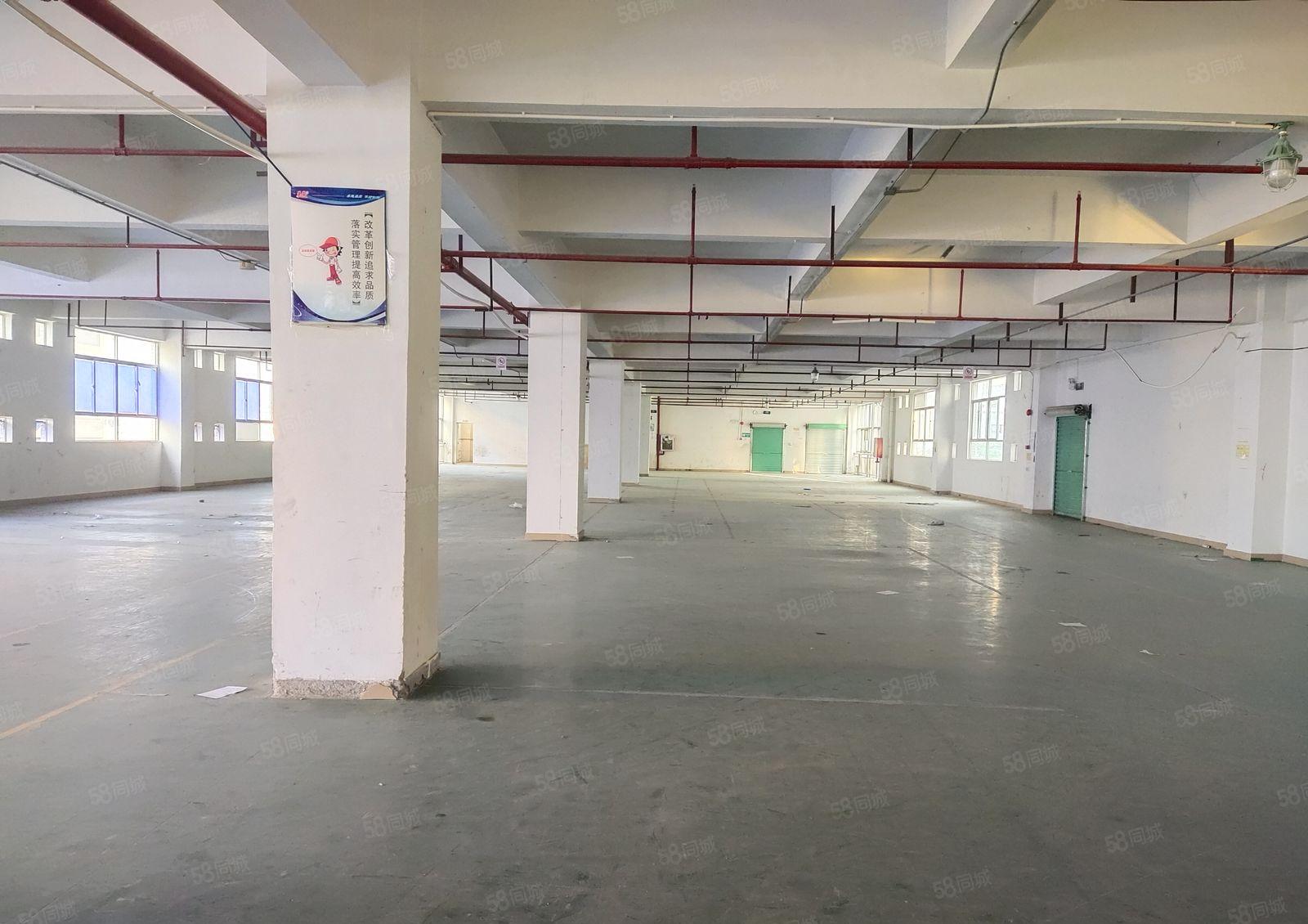 布吉上李朗工业园独院一楼2百5百8百1千平仓库厂房出租可分租