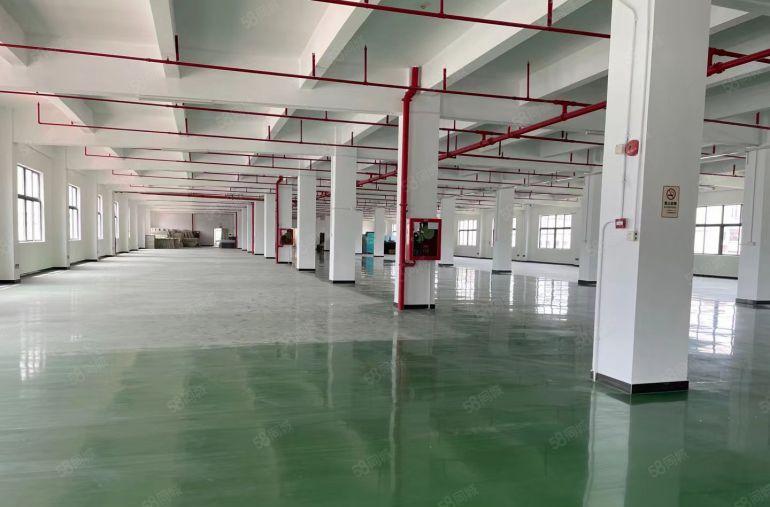 布吉李朗原房东红本独栋20000平厂房出租分租带装修使用率高