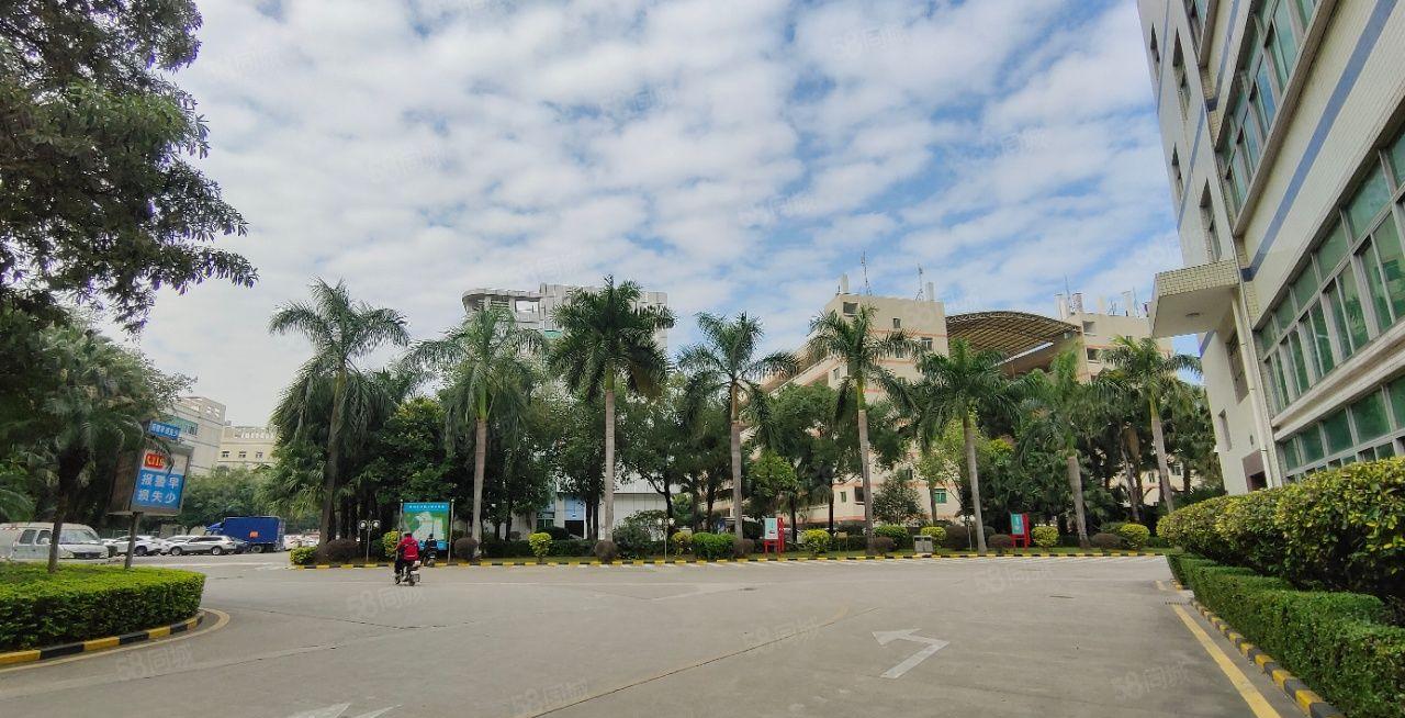 一手房东布吉李朗大型科技园新空出1000平方红本厂房仓库出租