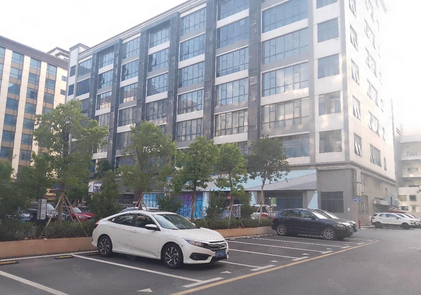 2000平布吉工业区厂房出租一楼电商仓库物流写字楼大小可分租