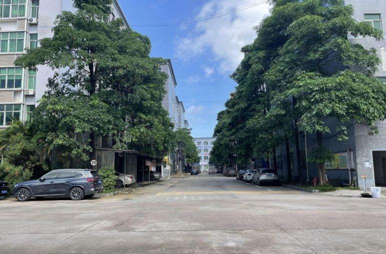 布吉李朗原房东独门独院厂房15000平厂房仓库出租 空地大