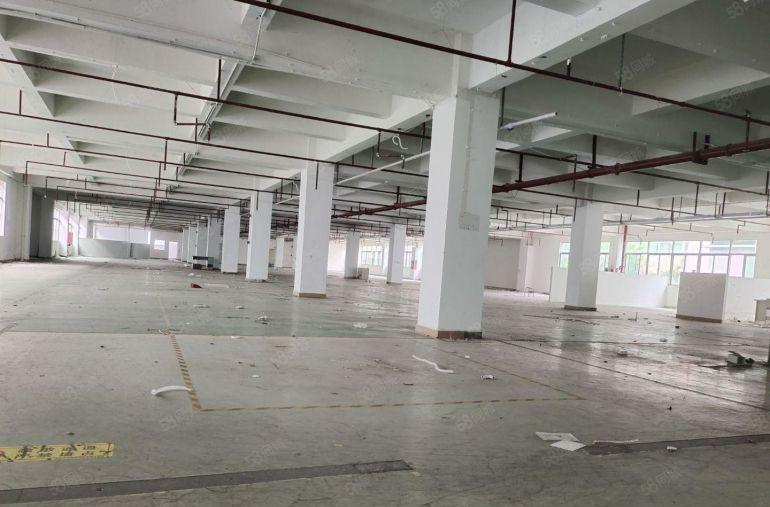 新出2楼1000平方房东直租 厂房仓库