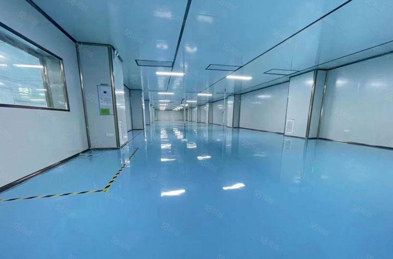 19元租布吉无尘车间2000平地铁口原房东现成装修无转让费的