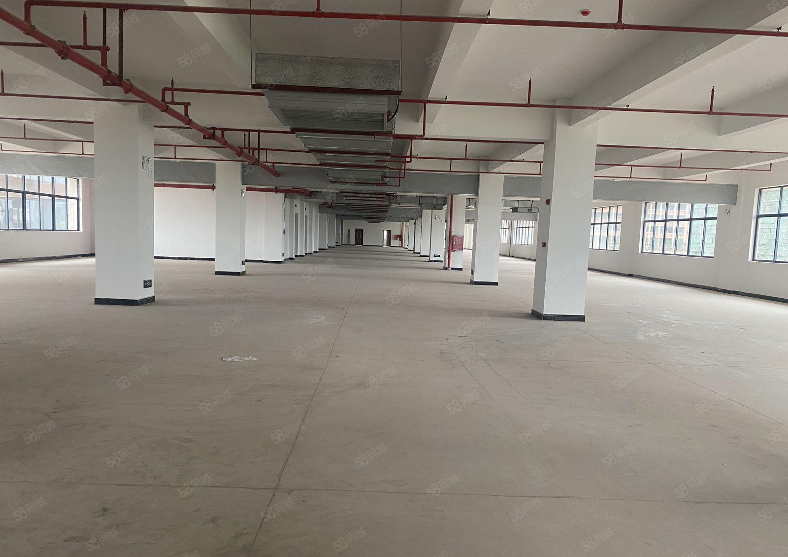 一手房东布吉李朗大型科技园新空出1000平方红本厂房仓库出租