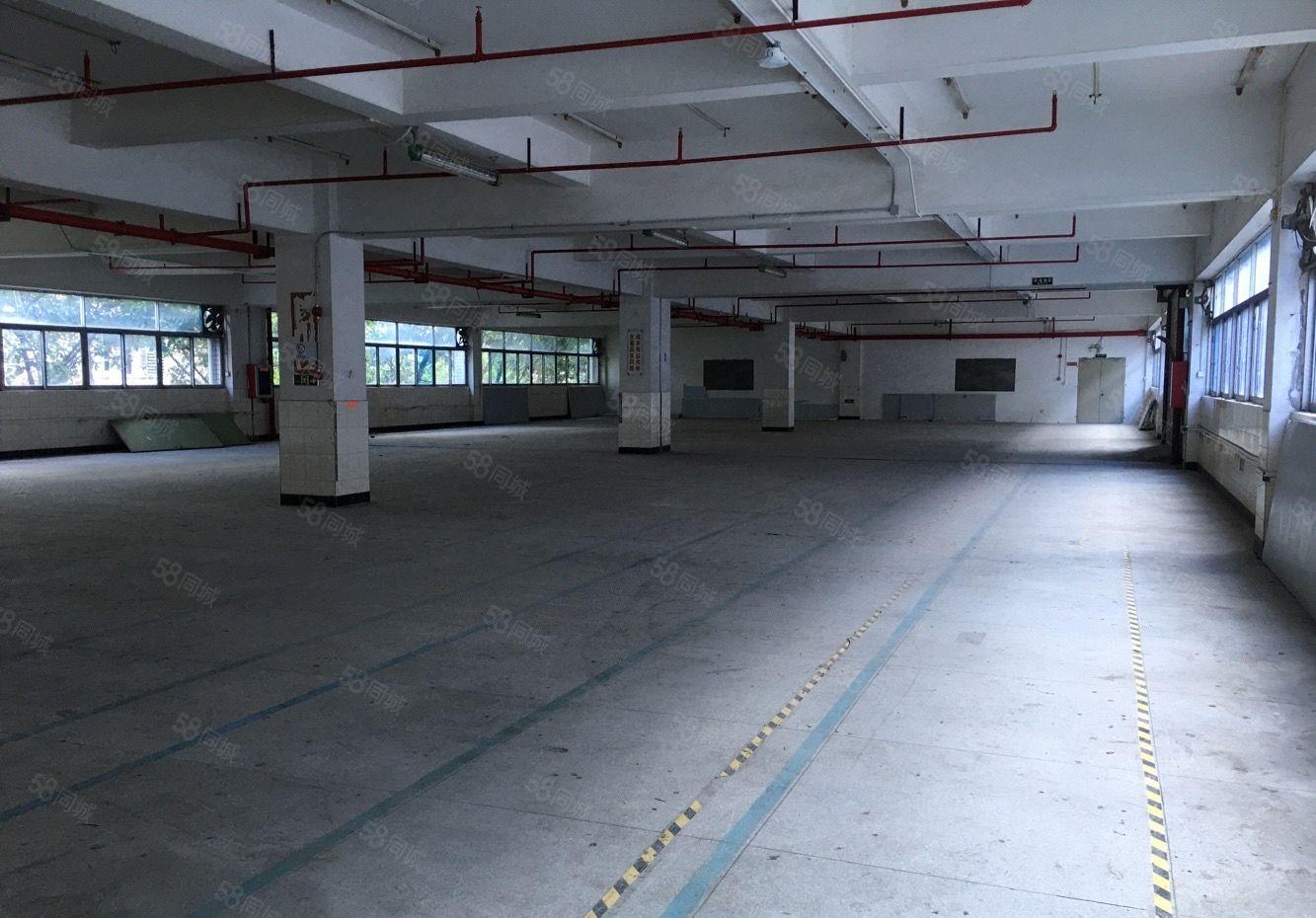 布吉丹竹头恒昊华物流园三楼800平米厂房仓库出租