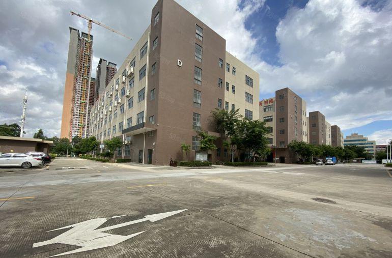 布吉百鸽笼高新产业园精装修楼上500平办公室仓库厂房出租