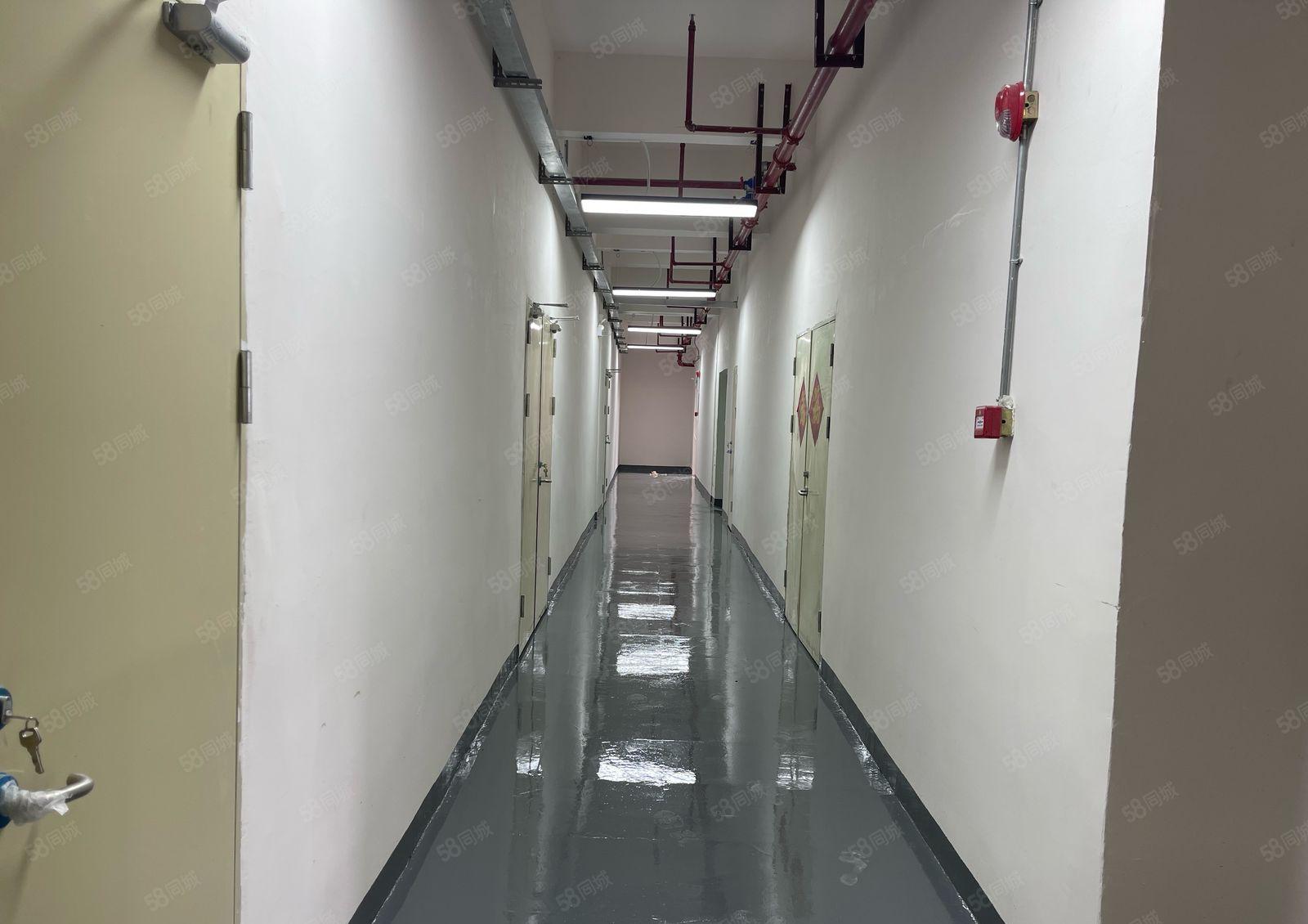 丹竹头 小面积厂房 22元280平米 起租 全新装修