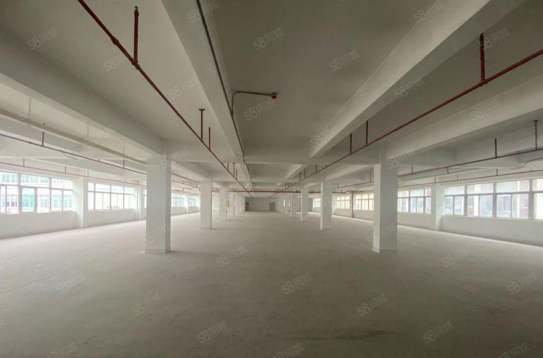 布南岭大型工业区1500平厂房出租300起分 原房东红本厂房