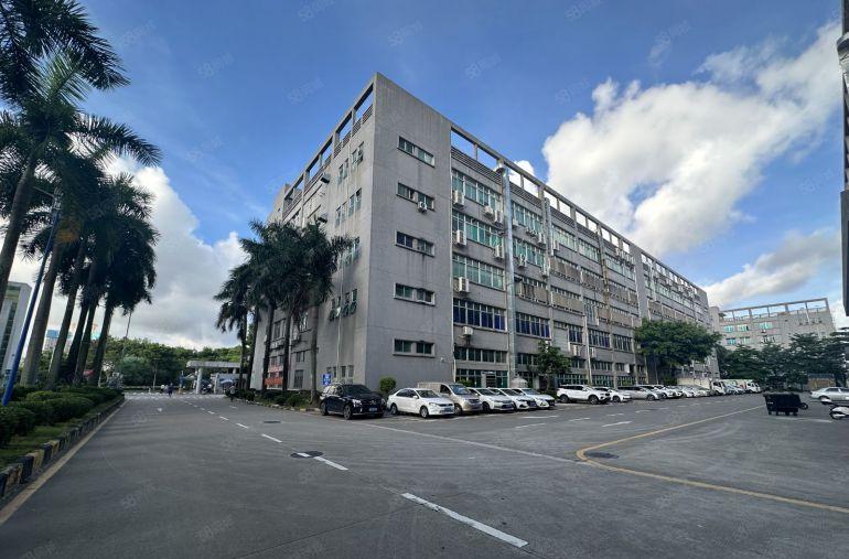 布吉丹竹头原房东大型科技园楼上精装修500平方办公厂房出租