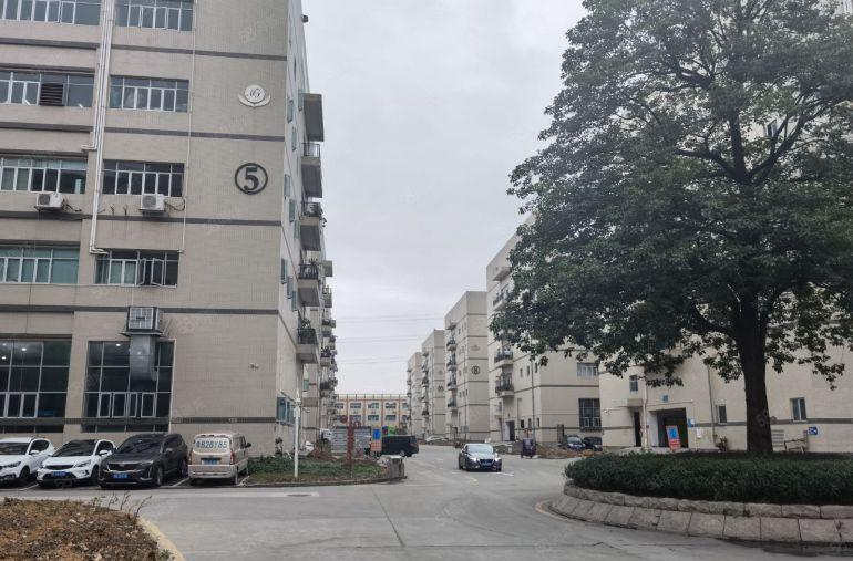 坂田布吉新出1000平至5000平方厂房仓库出租独院大小分租