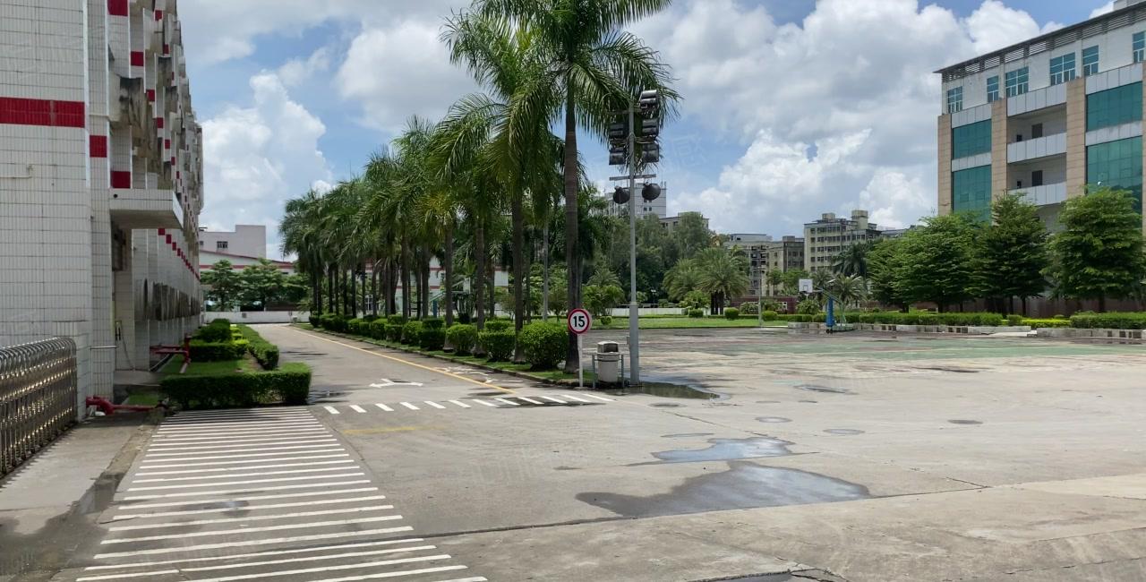 布吉丹竹头1000平电商办公厂房仓库出租可分租空地超大