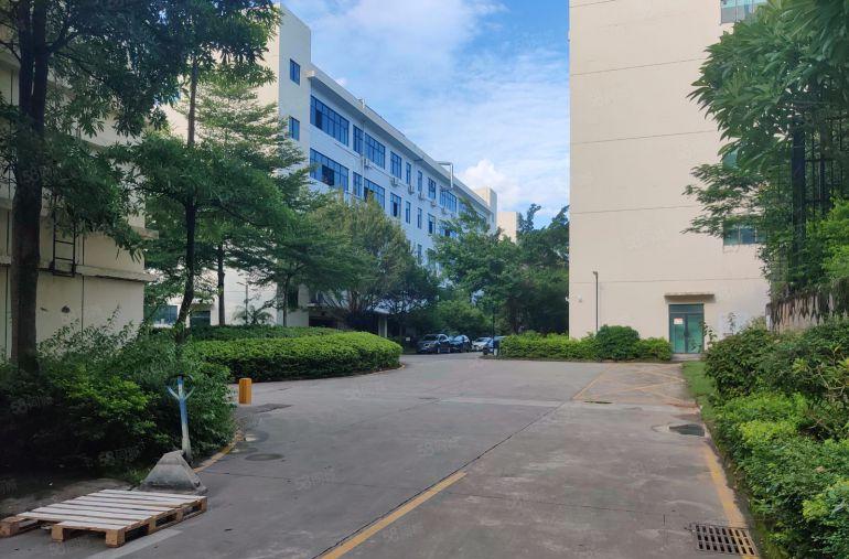 布吉丹竹头地铁口原房东2000平带精装修办公室，形象好空地大