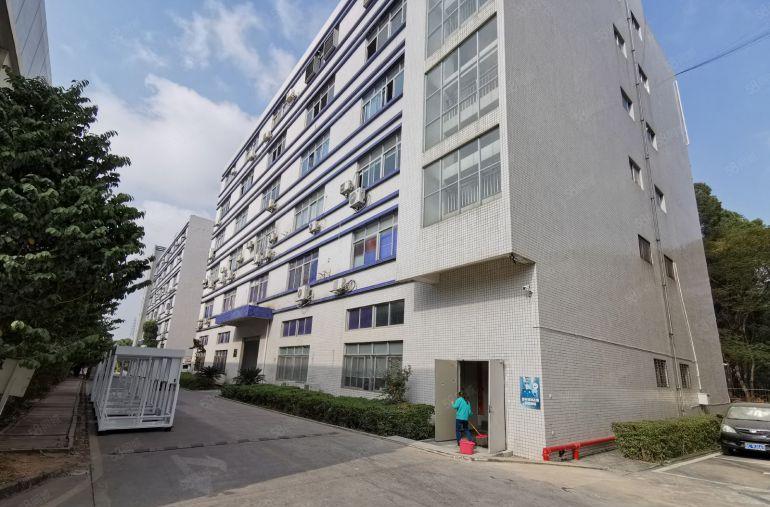 靓盘！丹竹头低价外贸产业园 仓库出租 可分租