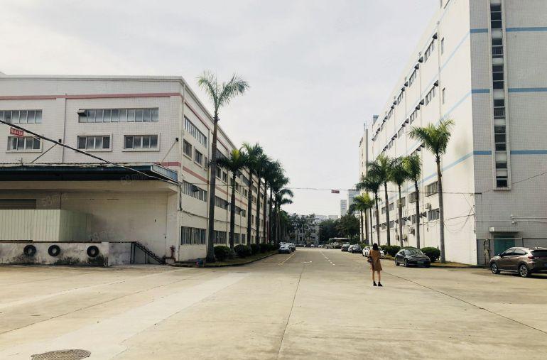 层高7米带牛角布吉李朗原房东1楼2000平方厂房仓库出租