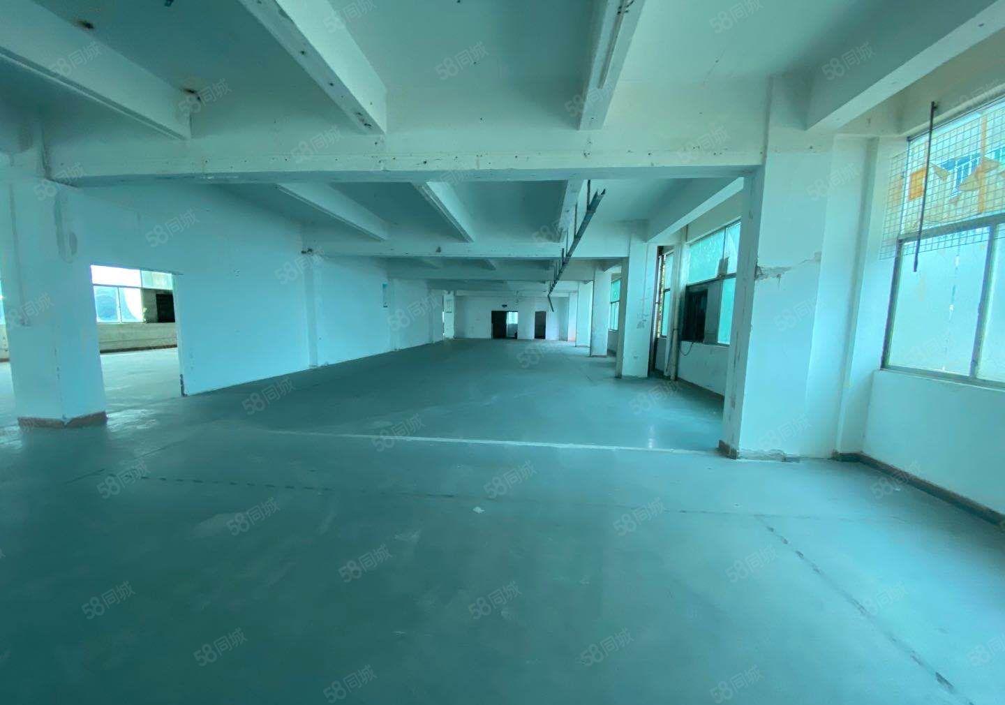 23元起租布吉厂房仓库出租空地大交通便利易招工