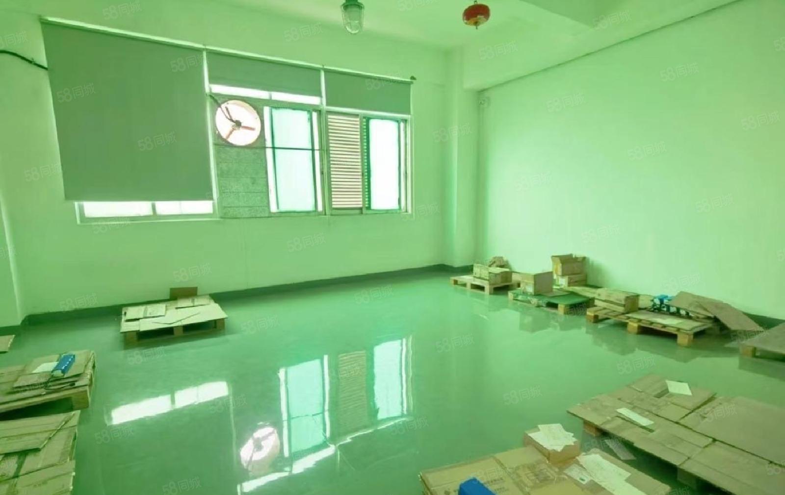 龙岗布吉，新出厂房楼上1000平带精装修可分租