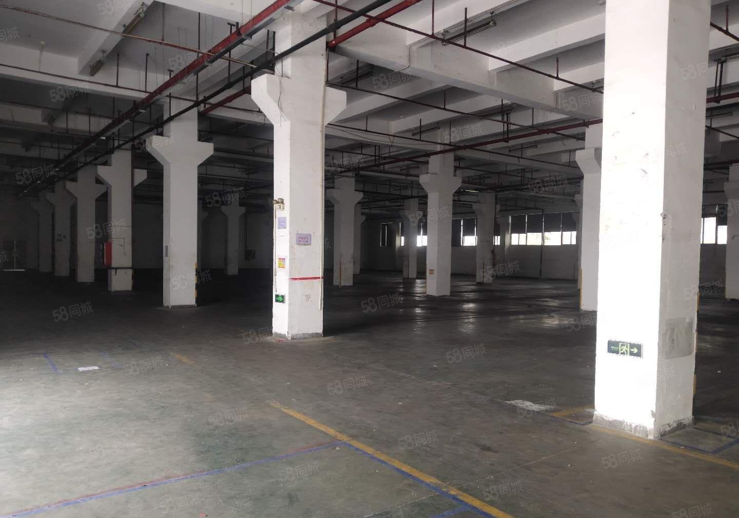 布吉李朗原房东工业园新出一楼二楼1980平厂房出租大小可分租