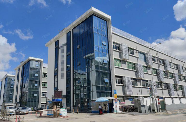 布吉丹竹头电商园楼上1000平，带精装修办公室，可分租