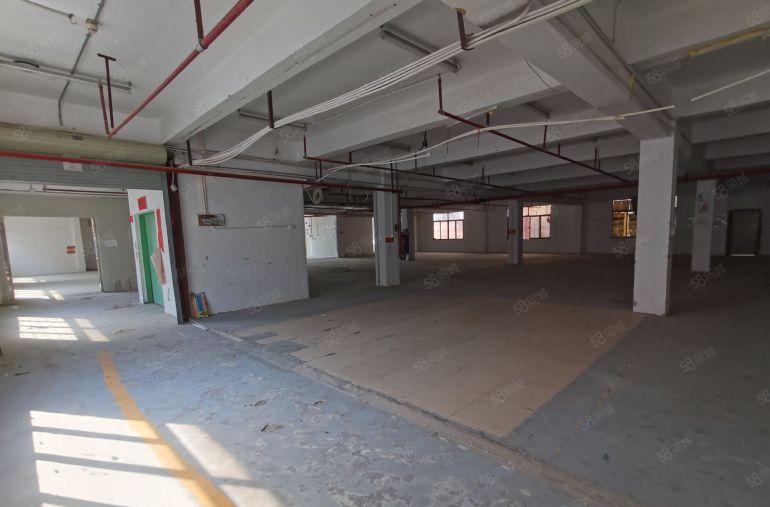 布吉丹竹头厂房出租3800平仓库出租整租分租超大空地高速路口