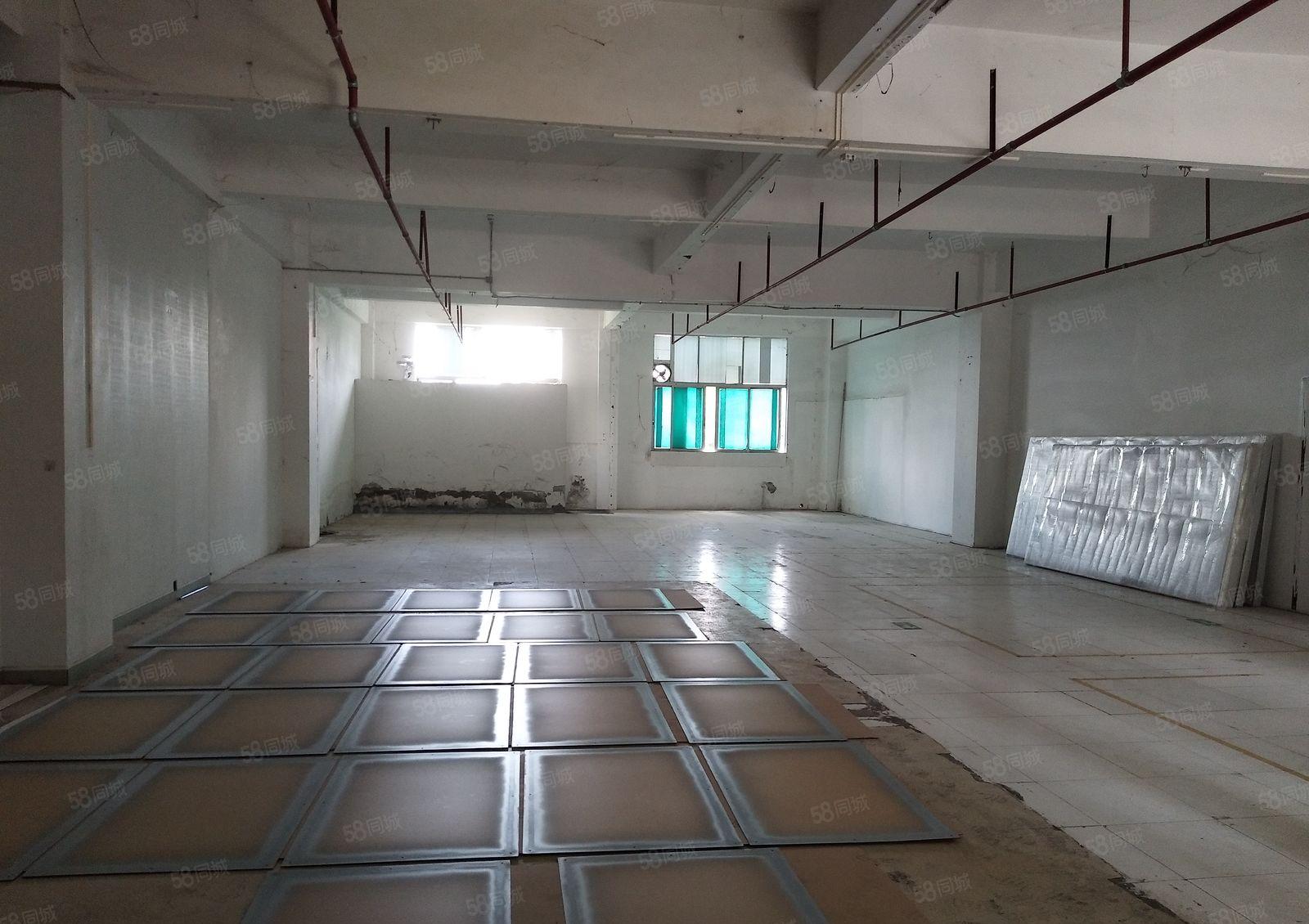 布吉丹竹头原房东一楼厂房仓库小面积出租