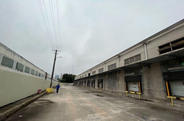 李朗冻库出租500平至1万平包电原房东实际面积出租