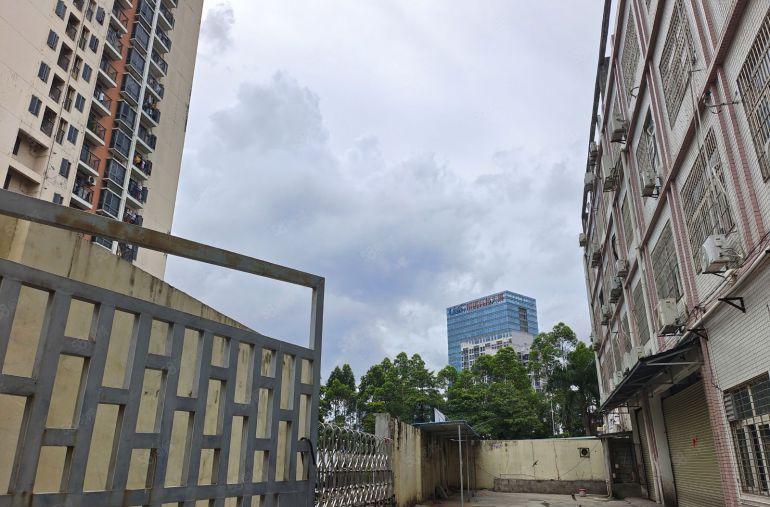 布吉独门独院一楼，无停车费，业主直租