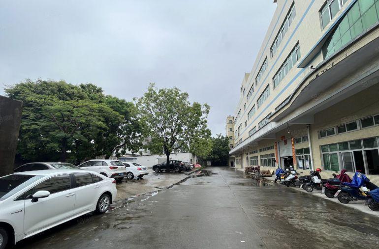 丹竹头原房东楼上1000平现成装修办公室仓库厂房出租使用率高