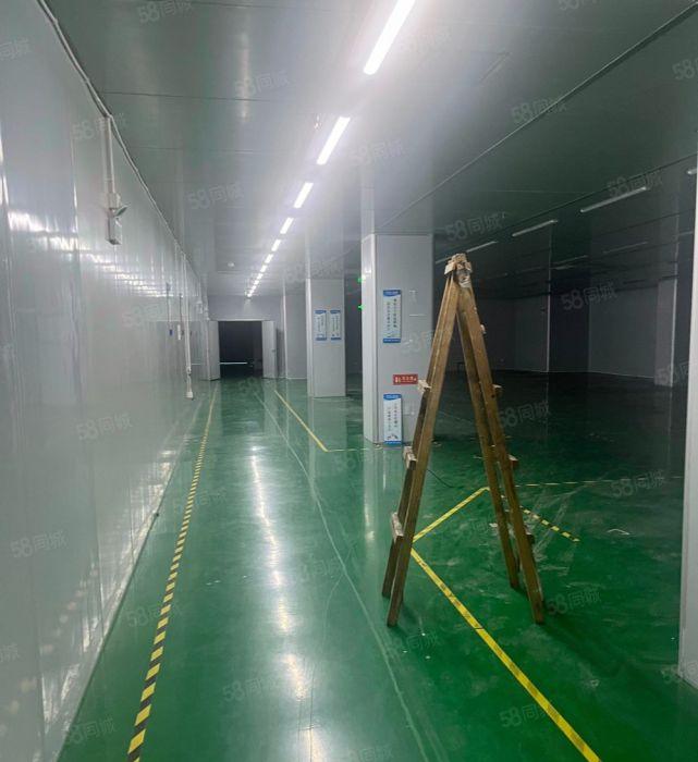 布吉李朗地铁口1000平方现成无尘车间原房东红本厂房出租。