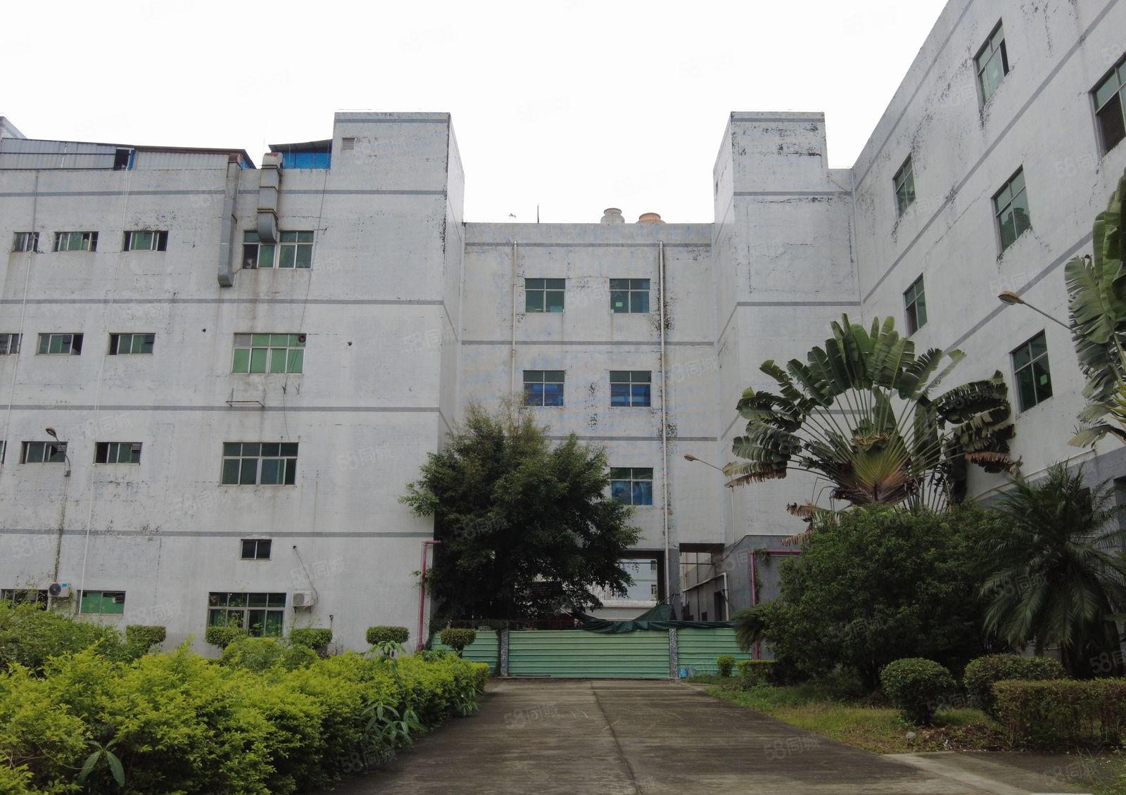 布吉南岭原房东200平起租厂房仓库低价出租15楼共5千平