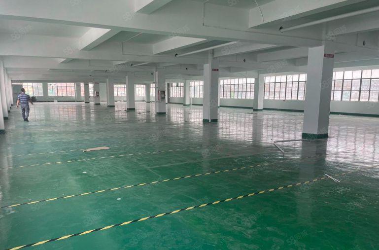 布吉甘坑地铁口原房东1500平方精装红本厂房出租。拎包进驻。