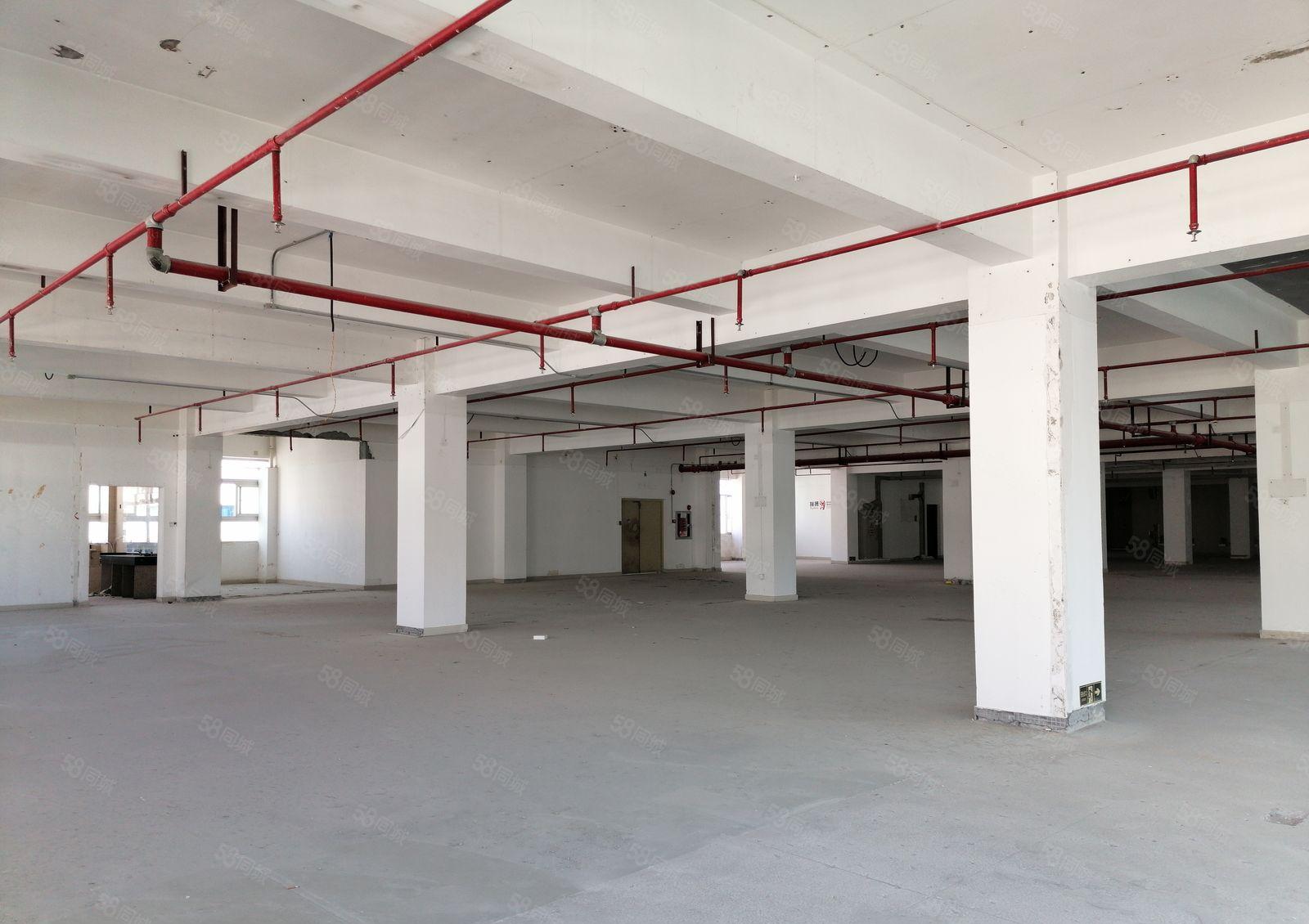 布吉主干道旁高实用率有喷淋标准厂房仓储出租