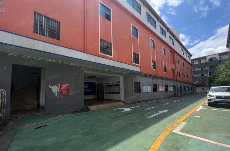 布吉红本独门独院厂房1200平方一楼仓库带豪华装修办公室出租