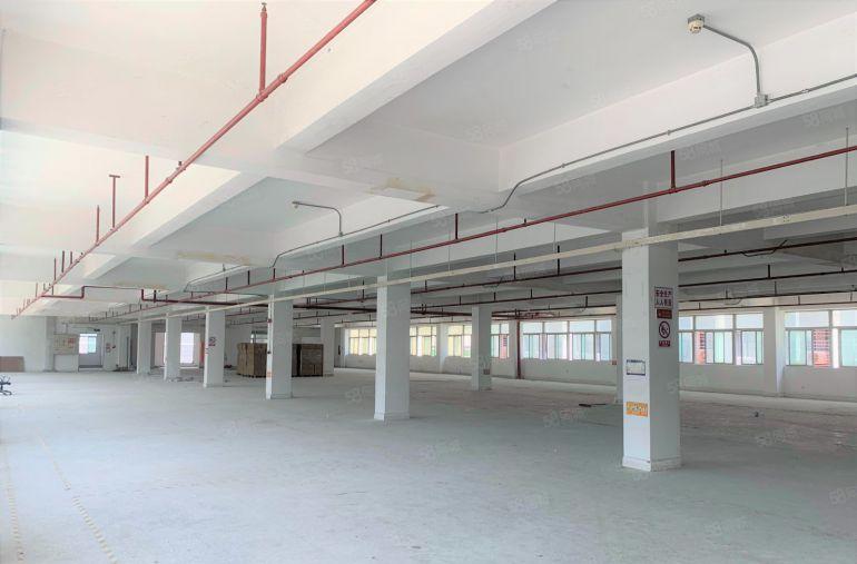 布吉丹竹头产业园红本2200平电商办公室厂房仓库出租可分租