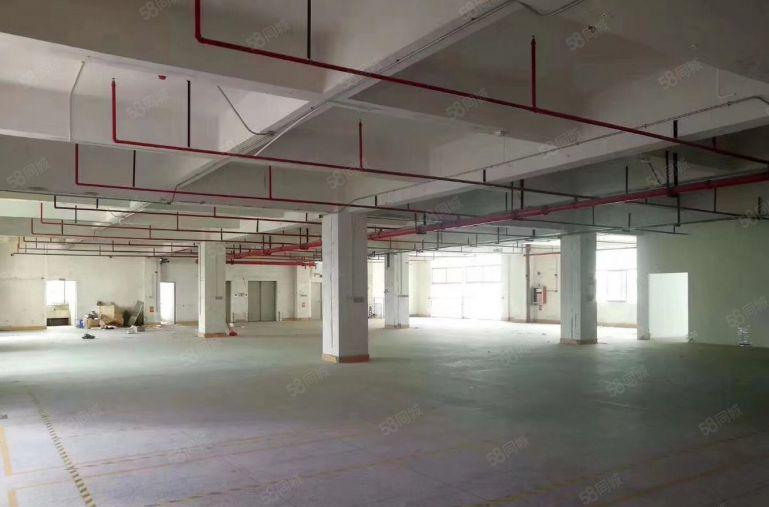 物业直租布吉丹竹头恒昊华物流园三楼1300平米厂房仓库出租