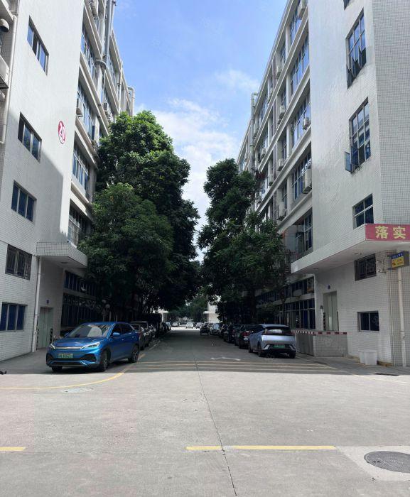 龙岗李朗 联创科技园 一楼厂房出租 1555平  配套齐全