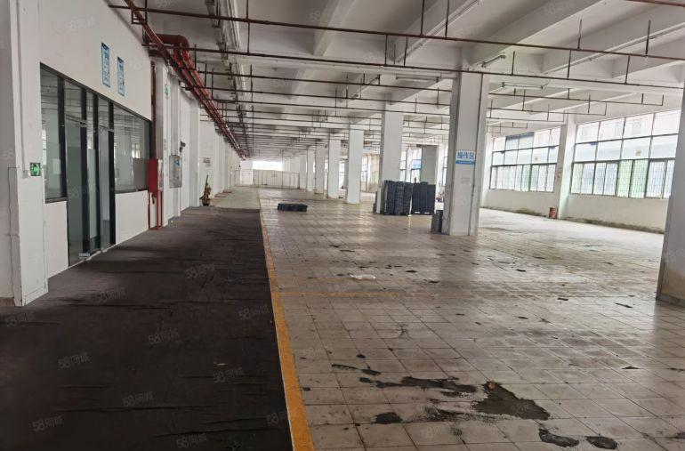 布吉上水径新出单一层1楼5600平带一排卸货平台有港车码出租