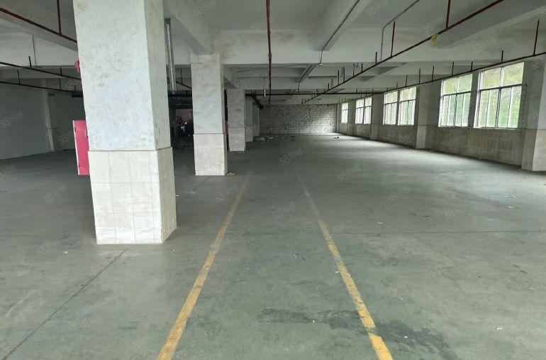 南岭工业区一二楼厂房仓库出租200平 500平 1200平