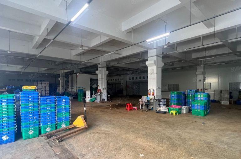 现成冷库！红棉路边一楼2300平有牛腿空地大适合仓储物流配送