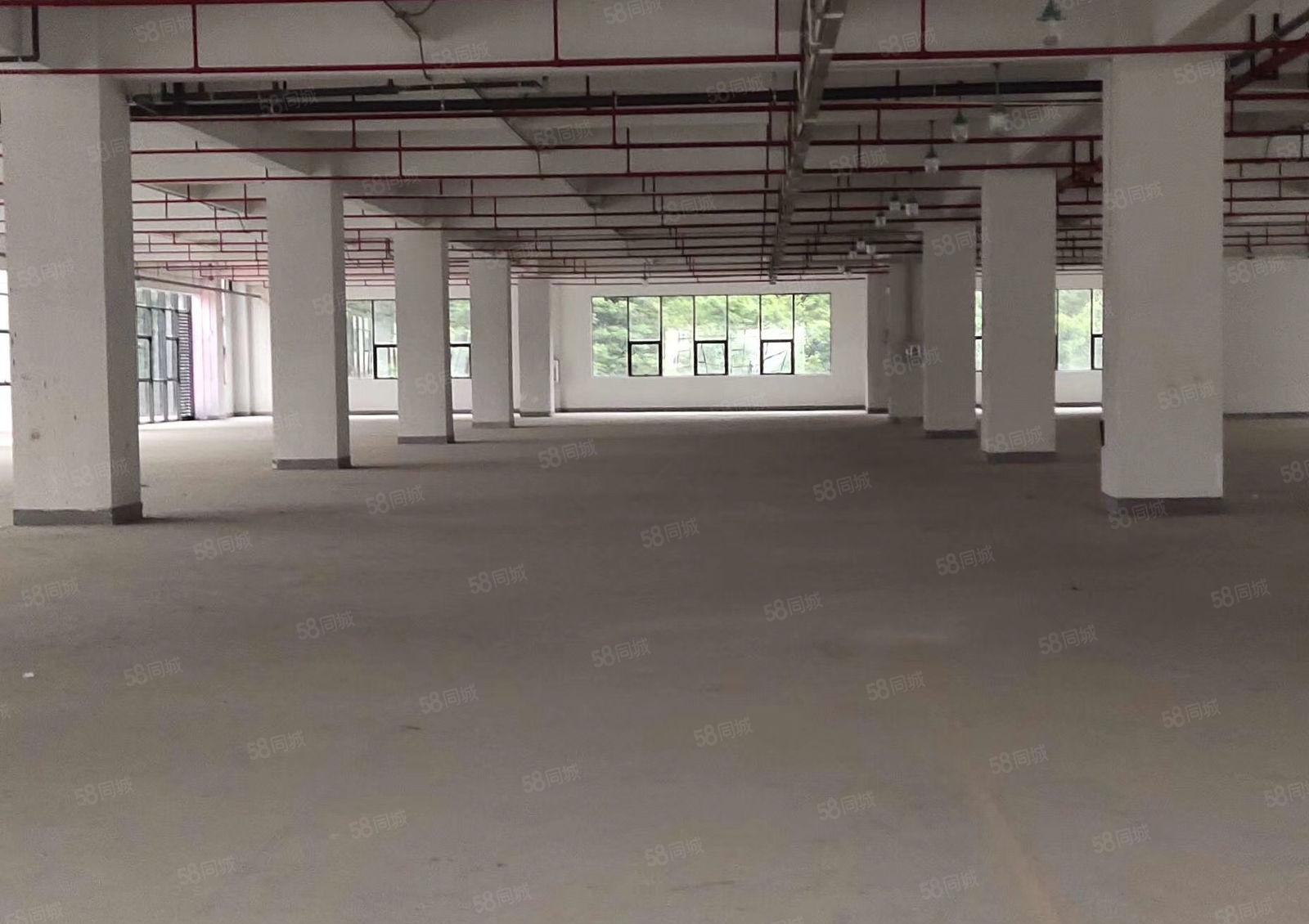 布吉海关附近新出二楼2500平米厂房出租带装修有红本