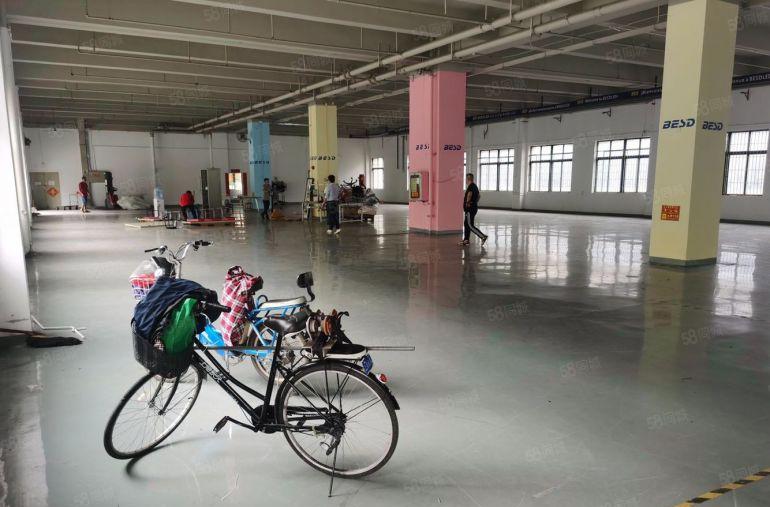 布吉10号线李朗科技中心100平起大小面积可分，电商仓库办公